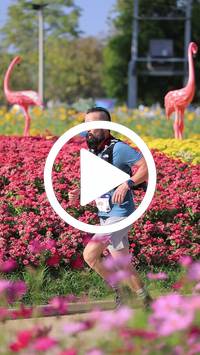 BIB:  <button type="button" onclick="openModal(27588407)" class="btn btn-primary btn-sm float-right" data-toggle="modal" data-target=".modal-high-quality">
                <i class="fa fa-download"></i> Download
                </button>